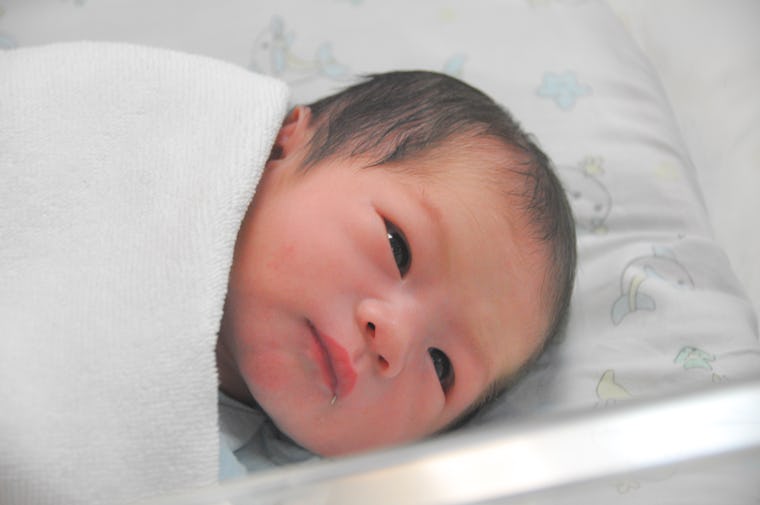 Chinese new year tangrams Giving Birth On Chinese New Year 2020 Means Courage & Wealth For Your Baby