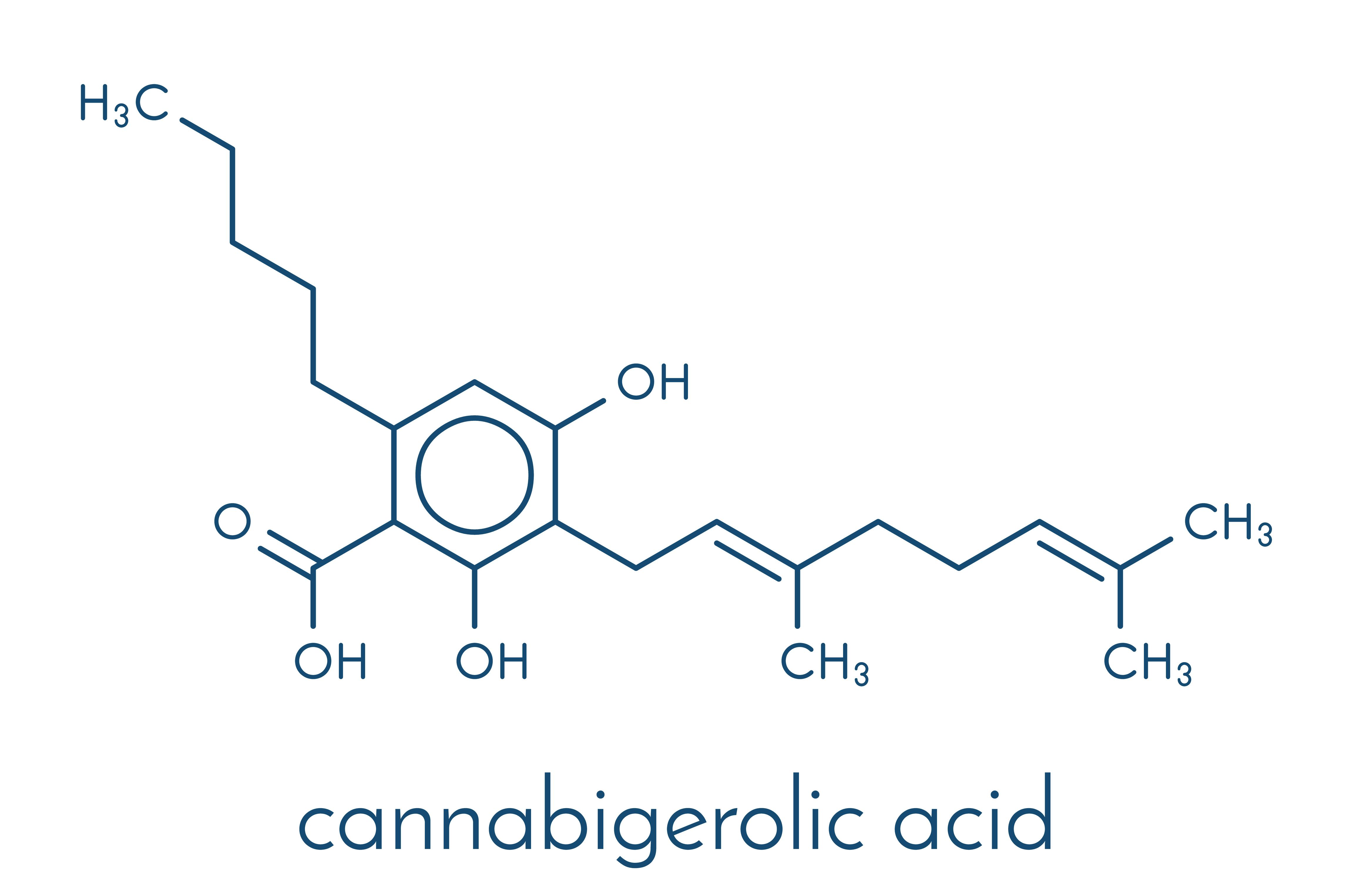 Beyond THC And CBD: The Science Of Cannabinoids And The Brain