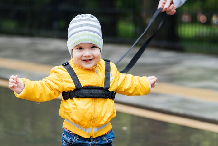 a toddler boy attached to a harness leash