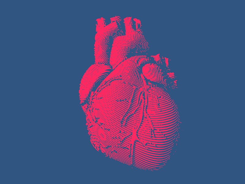Isolated engraving colorful red human heart illustration on dark blue background