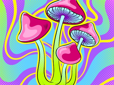 Narcotic psychodelic mushroom psilocybin pop art retro vector illustration. Comic book style imitati...