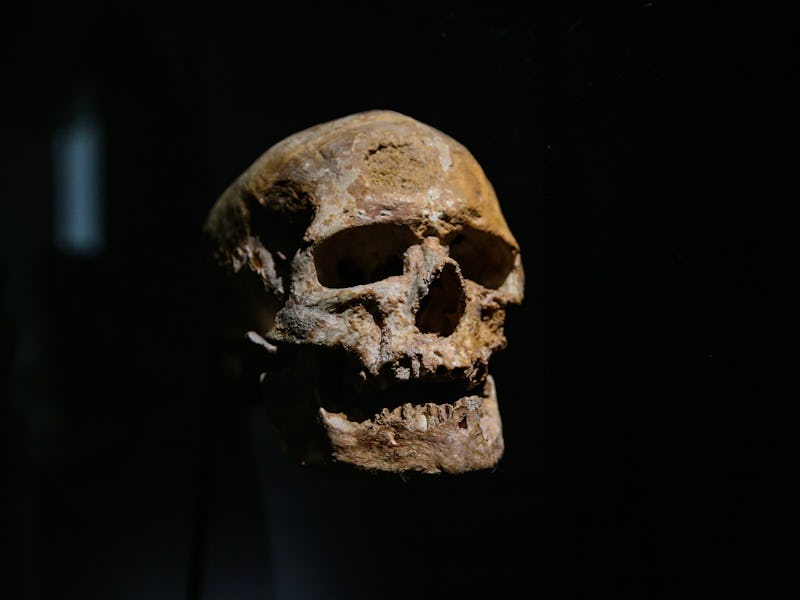 Ancient human skull against a black background