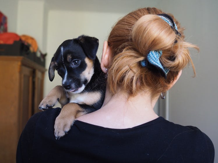 A woman faces a wall while holding her adorable puppy on her shoulder.