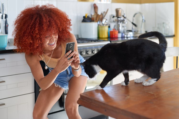 A woman laughs while taking a photo of her cat standing on the kitchen counter. 