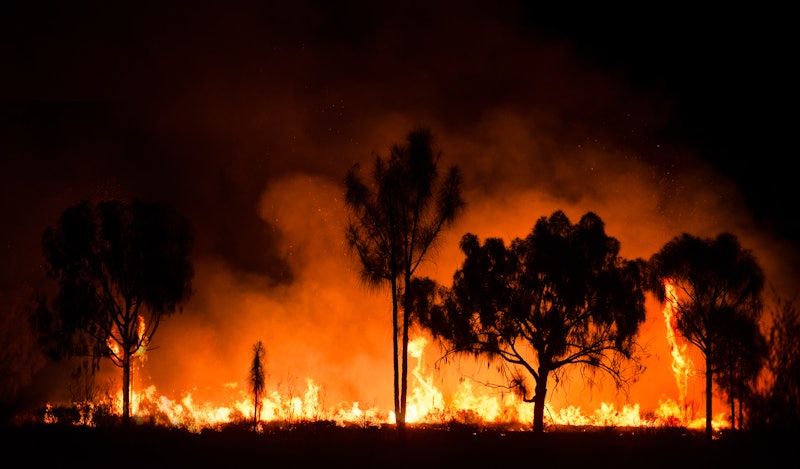 Australian wildfires are spreading and merging as of Monday, January 6, 2020. 