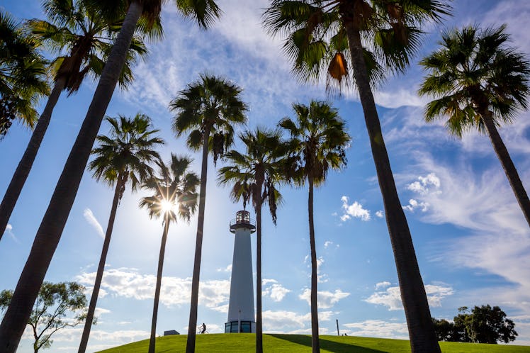 JetBlue's 2020 Winter Flight Sale has exciting destinations.