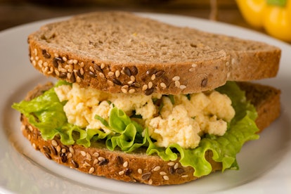 Egg salad sandwich with whole grain bread. Close up, selective focus
