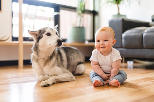 13 Baby Names Stolen By Dogs In 19 That Humans Need To Take Back