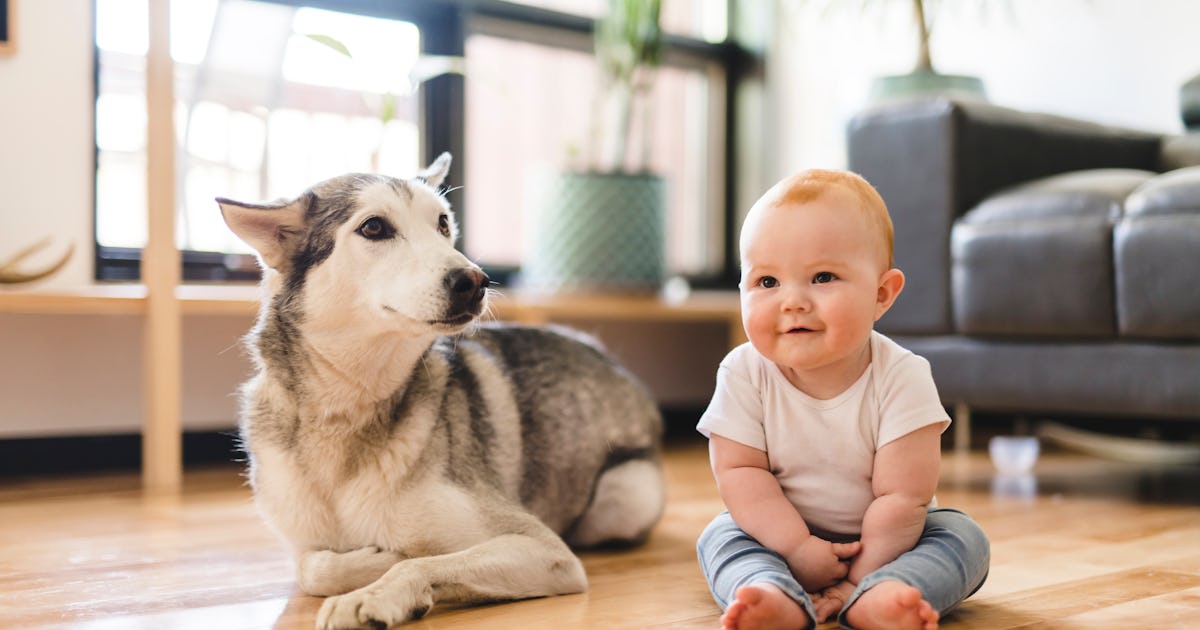 13 Baby Names Stolen By Dogs In 19 That Humans Need To Take Back 13 Baby Names Stolen By Dogs In 19 That Humans Need To Take Back