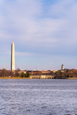 The Washington Monument in Washington D.C. stands against a purple-blue sky on a winter day.