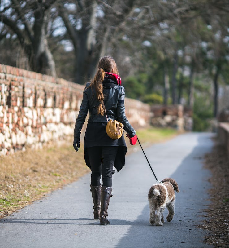 woman walking dog on leash in the park