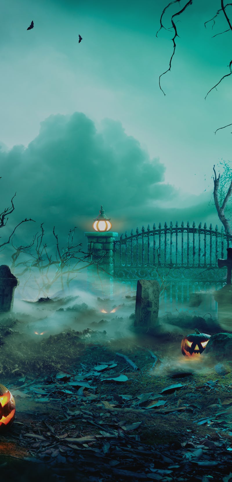 Pumpkins In Graveyard In The Spooky Night - Halloween Backdrop