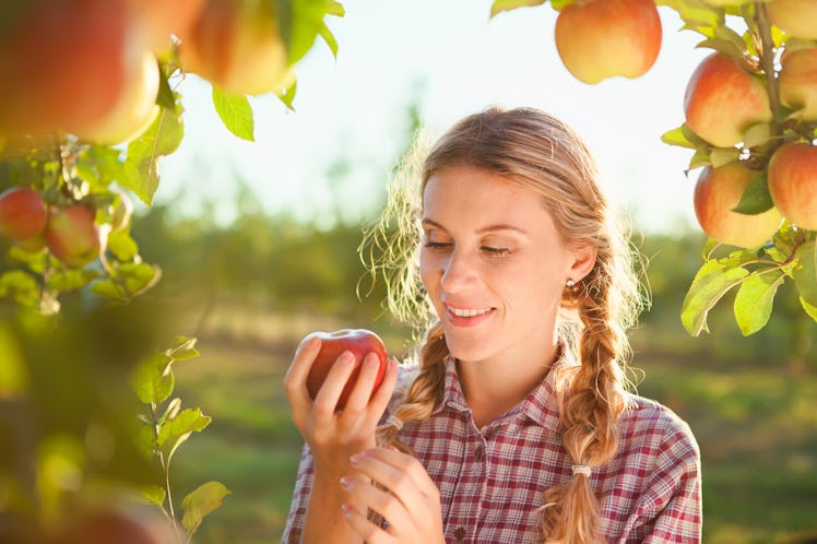 Beautiful young woman picking ripe organic apples  in orchard