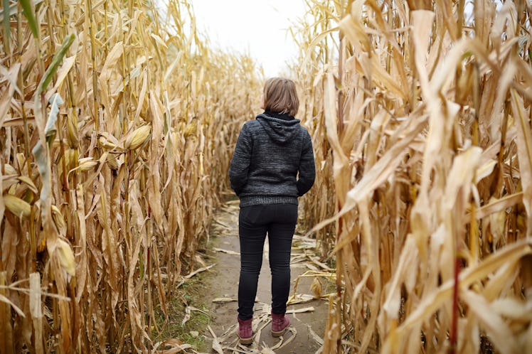 Young woman having fun on pumpkin fair at autumn. Person walking among the dried corn stalks in a co...