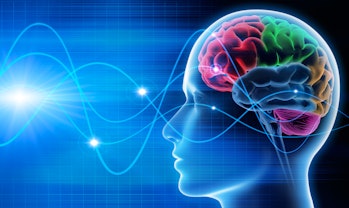 Brain waves - EEG - brain activity