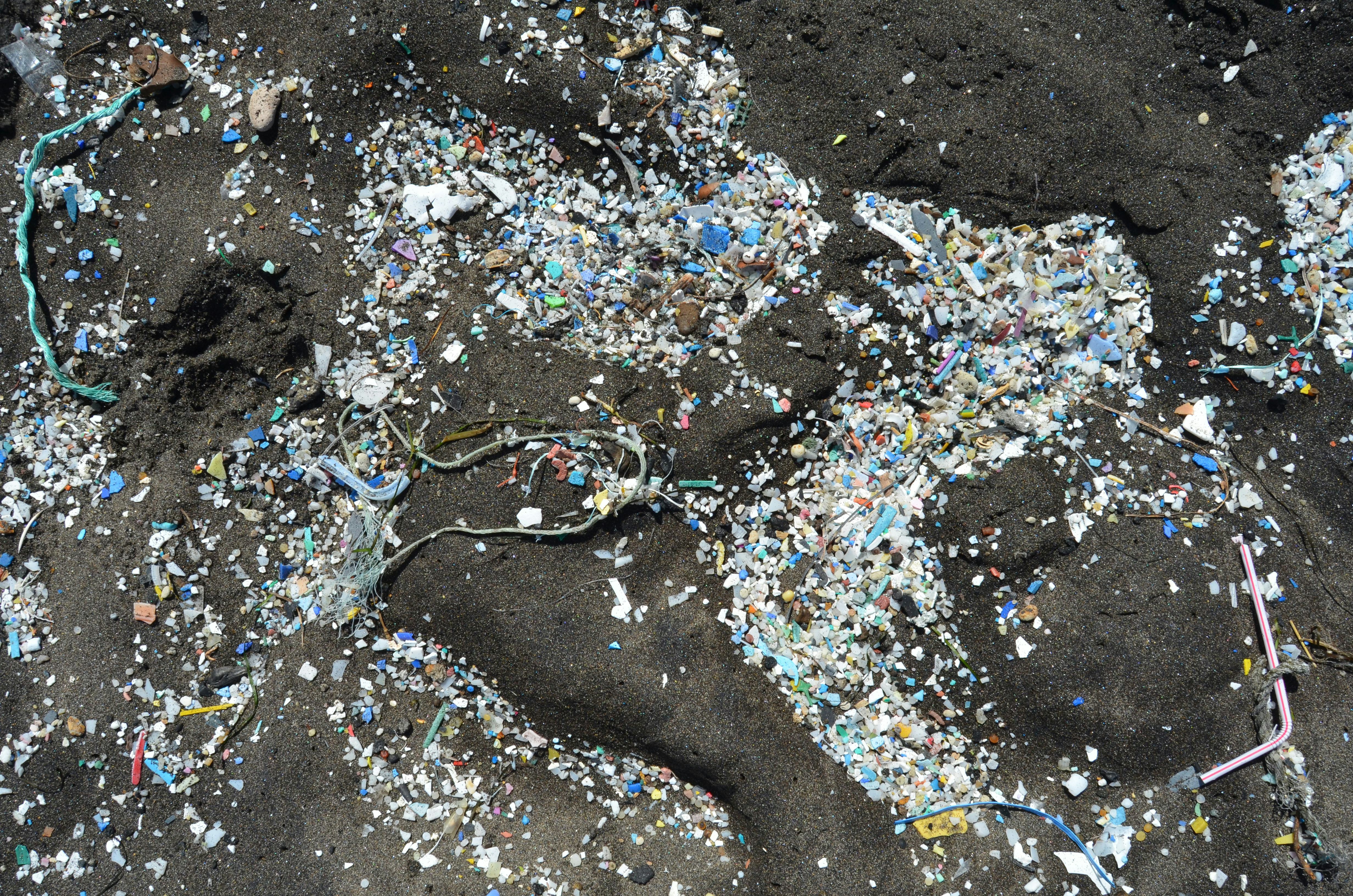 plastics and microplastics in sand on beaches and coasts of the Canary Islands