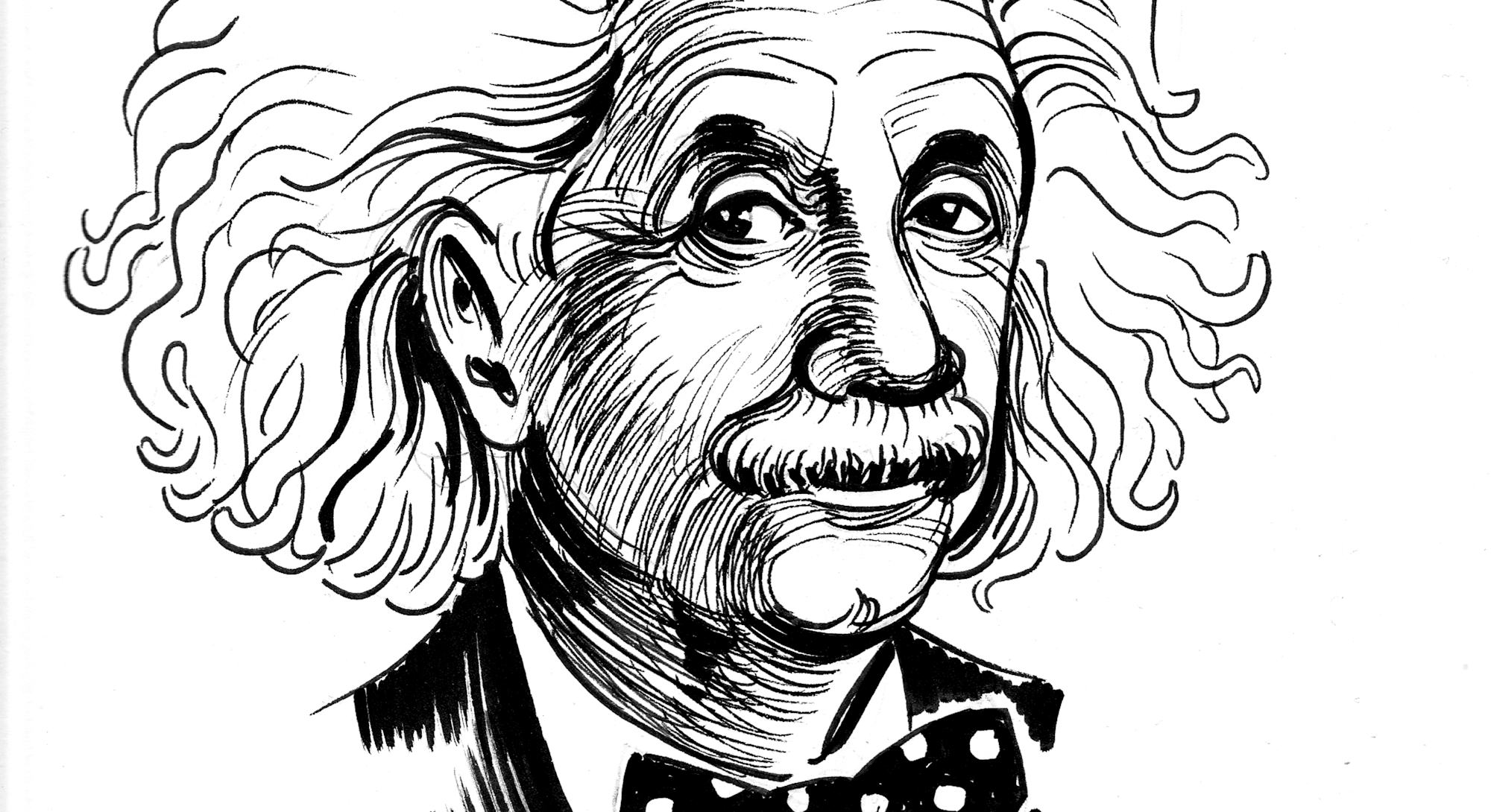 Albert Einstein. Ink black and white cartoon