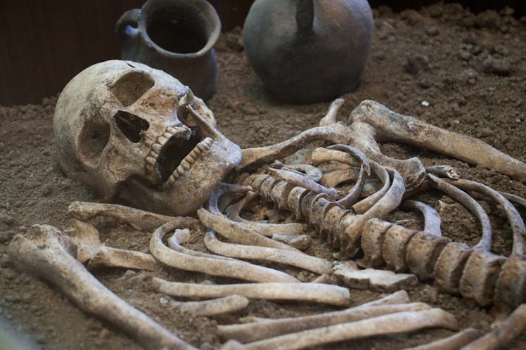 Archaeological excavations of an ancient human homo sapiens man reasonable Neanderthal bones skeleto...