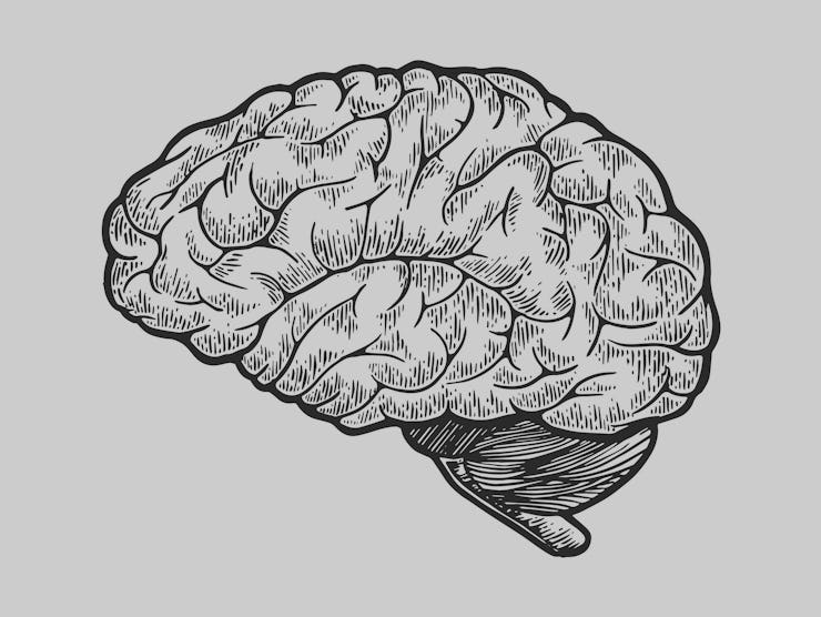 Human brain schematic vintage sketch engraving vector illustration. Scratch board style imitation. B...