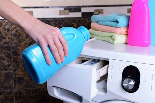 Female hands poured powder in washing machine close-up