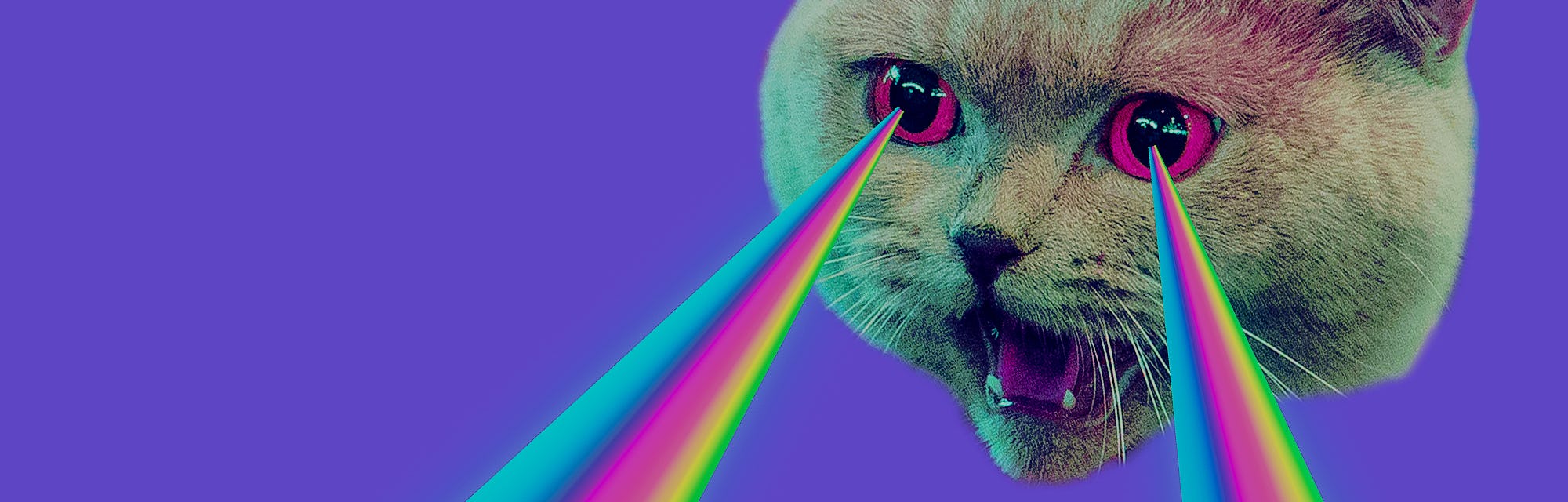 Evil Cat with rainbow lasers from eyes. Minimal collage fashion concept