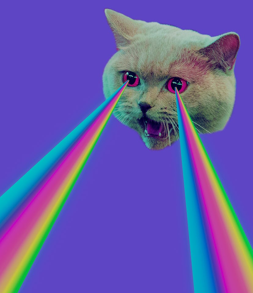 Evil Cat with rainbow lasers from eyes. Minimal collage fashion concept