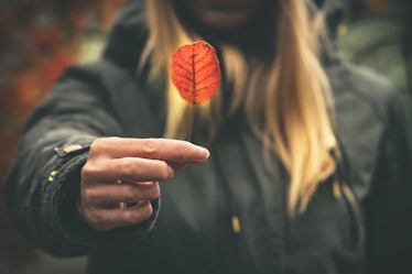 	
Woman hand giving autumn red leaf melancholy concept Travel Lifestyle moody colors
