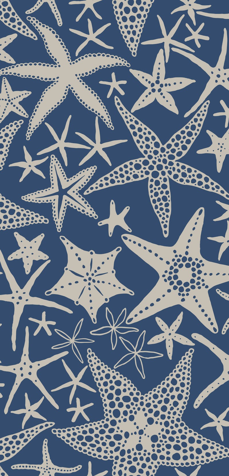 Starfishes on blue background, seamless doodle pattern with scattered abstract sea stars. Vector han...