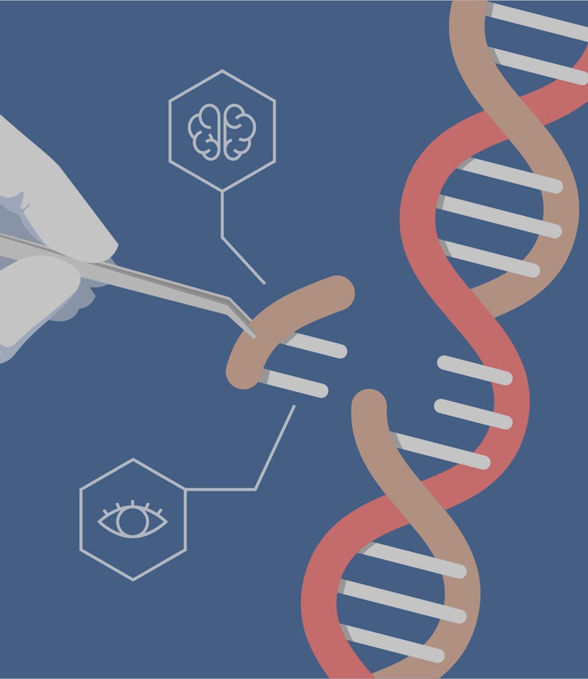 CRISPR CAS9 - Genetic engineering. Gene editing tool illustration