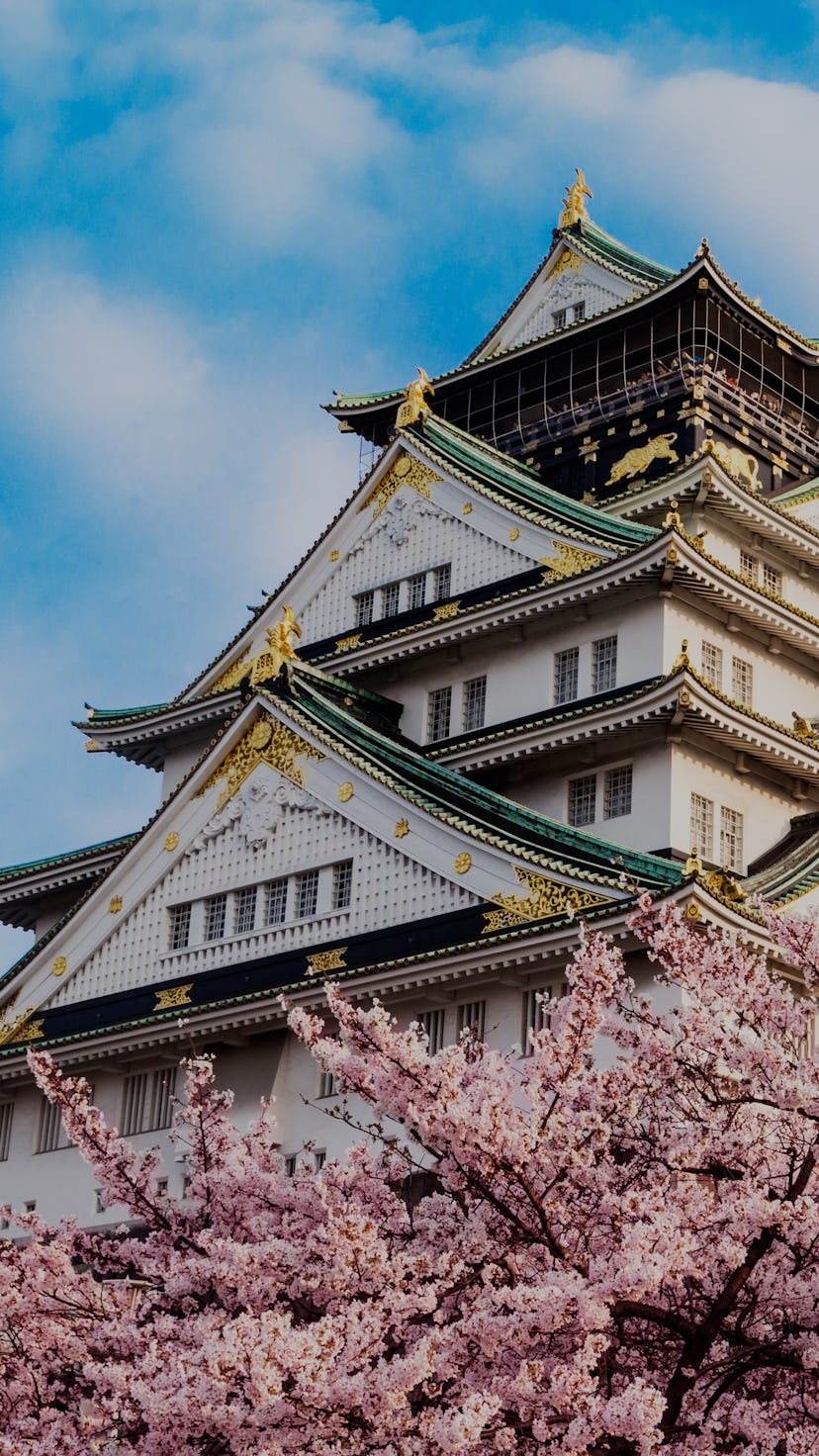 Osaka castle with cherry blossom. Japan, April. Spring icon view. 