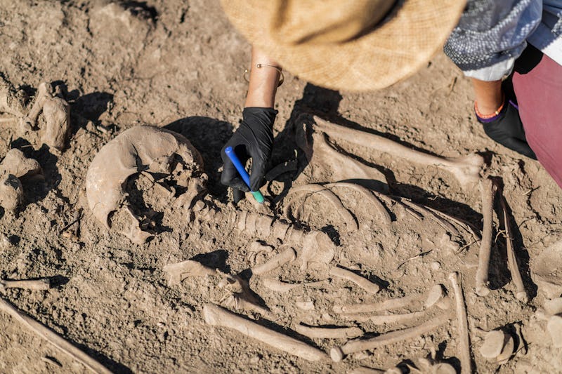 Archaeology - excavating ancient human remains with digging tool kit set at archaeological site. 