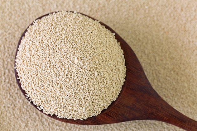 Active dry Baking yeast granules in wooden spoon, top view
