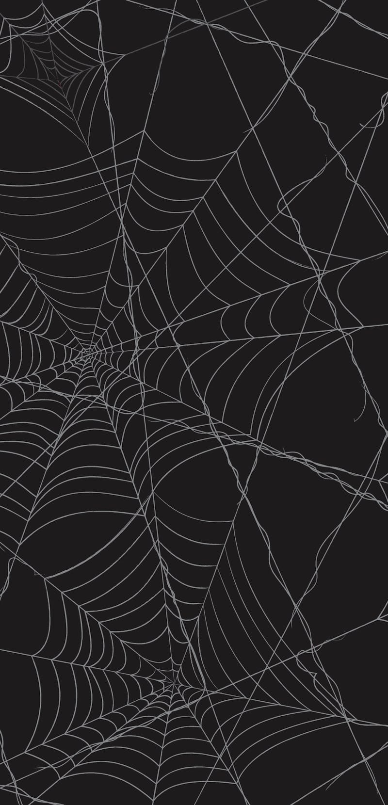 spiderweb isolated black background for halloween theme night party. cobweb vector eps10