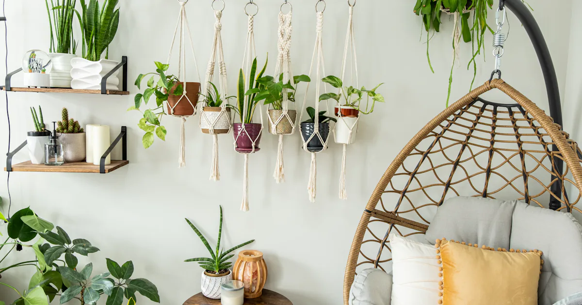 The 8 Best Hanging Planters
