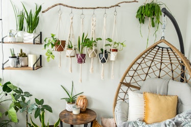 Six handmade cotton macrame plant hangers are hanging from a wood branch. The macrame have pots and ...