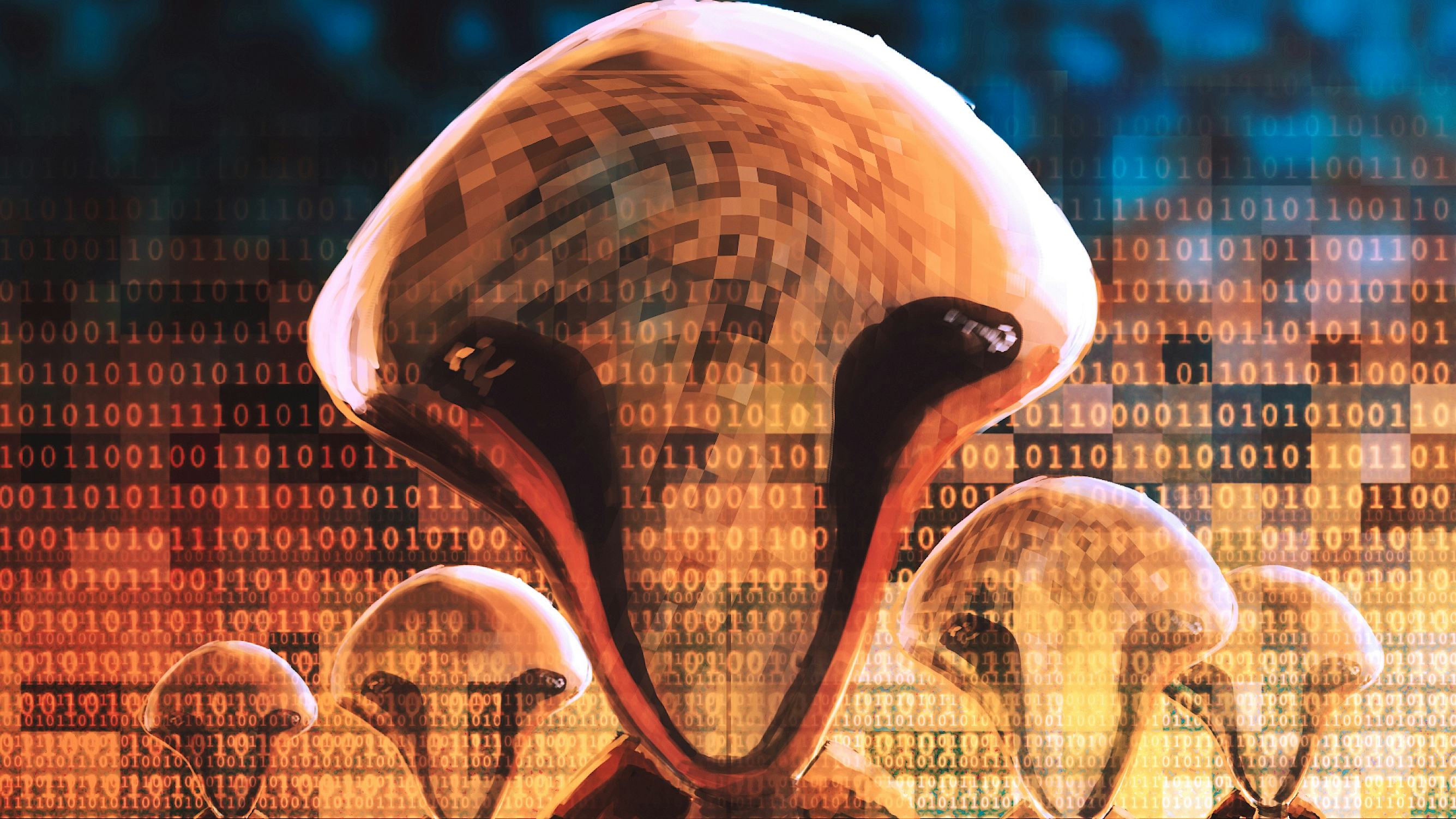 You need to watch the best scifi cult classic on Hulu before it leaves