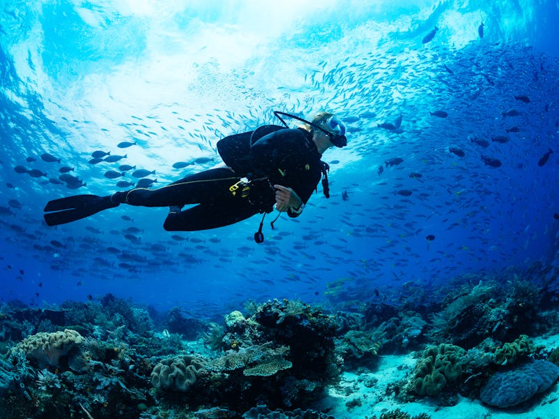 Girl scuba diver diving on tropical reef with blue background and reef fish