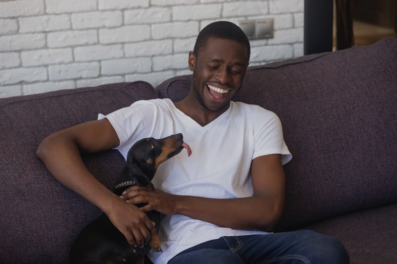 Happy African American young man sit on couch having fun with dackel dog, smiling black male relax a...