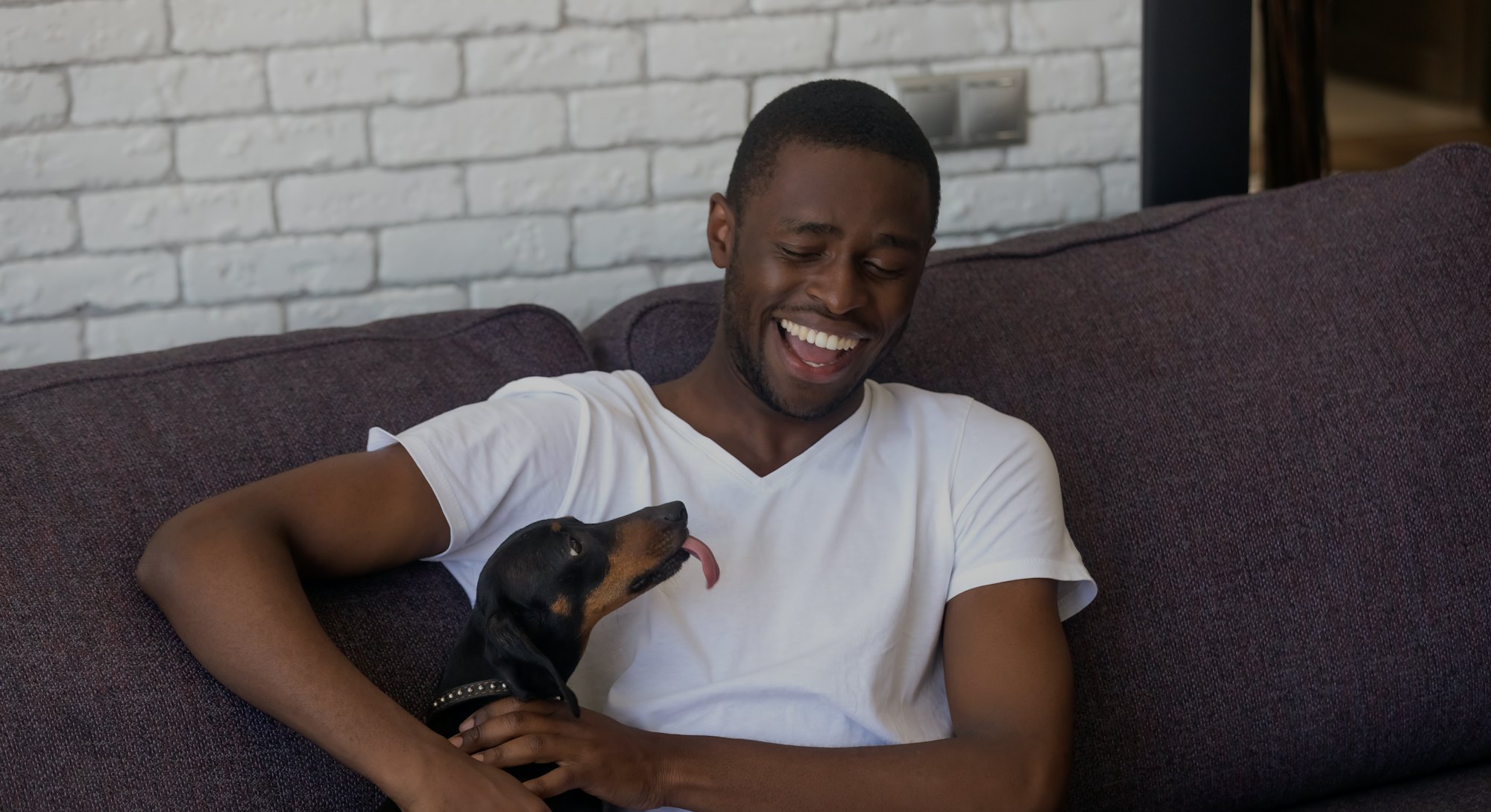 Happy African American young man sit on couch having fun with dackel dog, smiling black male relax a...