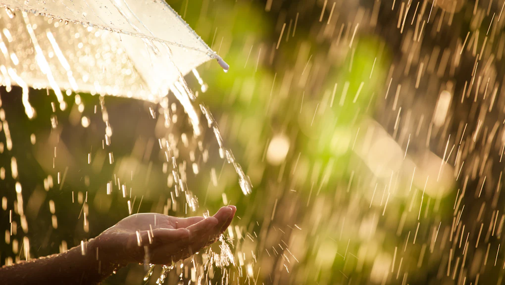 Renewable energy generator powered by rainfall developed by City University of Hong Kong scientists