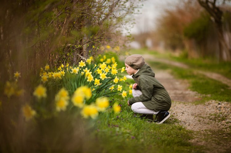 Cute happy little girl in the spring country smelling yellow daffodils.
