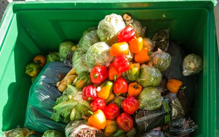 Food in the garbage container