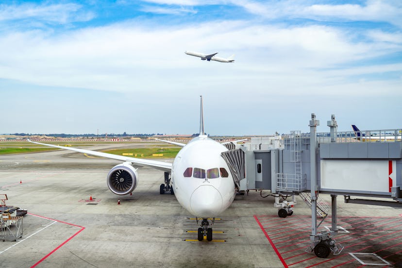 Qantas has pledged to reach net zero carbon emissions by 2050.