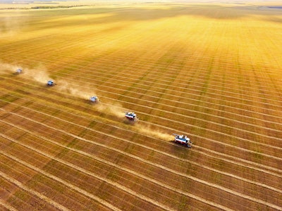 Harvesting of wheat. Combine harvesters agricultural machines collecting golden  wheat on the field....
