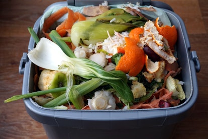 Container of domestic food waste, ready to be collected by the recycling truck