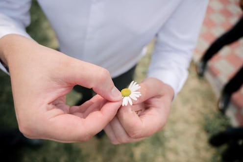 loves me loves me not guessing game by tearing off a daisy petal. a daisy held in Caucasian mans han...