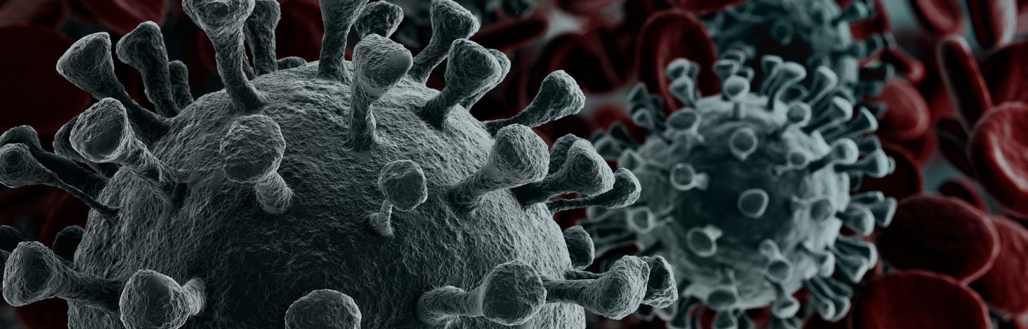 Coronavirus 2019-nCov novel coronavirus concept resposible for asian flu outbreak and coronaviruses ...