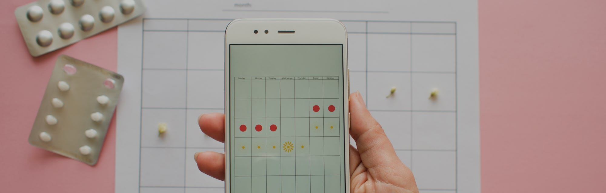 Menstrual cycle. Calendar for the month with marks and a mobile application on the smartphone screen...