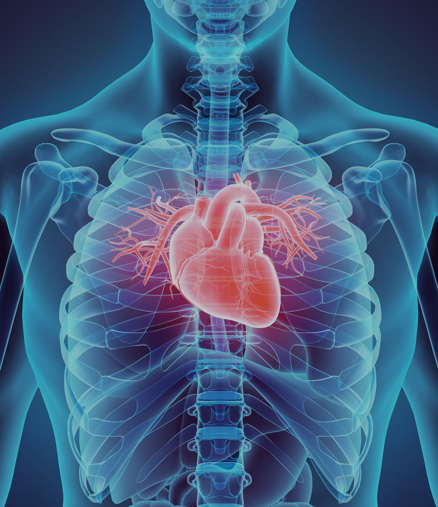 This AI sensor will monitor patients' hearts 24/7