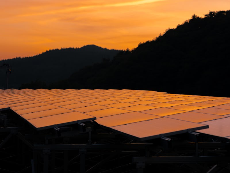 Solar panels at sunset in forest
